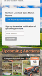 Mobile Screenshot of bodnarusauctioneering.com